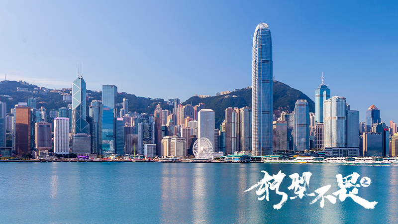 神州數(shù)碼與華為：木棉和橡樹